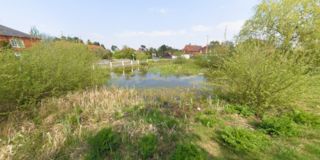 Cranleigh Pond